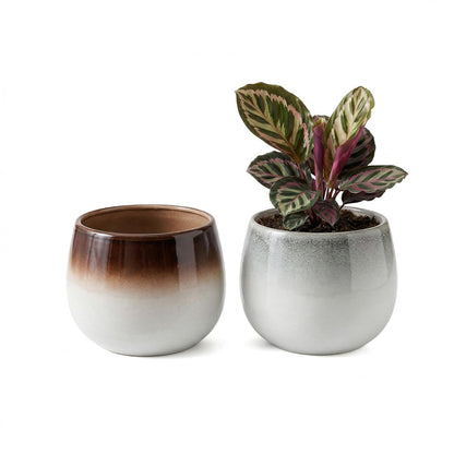 Sin wings 5.6 Inch Ombre Glazed Ceramic Planter Set, Round Bulbous Flower Pot with Drainage Hole, Modern Gradient Indoor Plant Pot for Calathea, Pothos, and Houseplants, Home Decor, 2 Pack