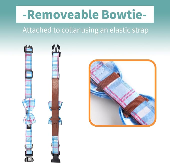 IVY&LANE Dog Collar with Bowtie and Leash Set | Plaid Adjustable Dog Collar | Detachable Bow Tie |5 FT Dog Leash | for Small Medium Large Dogs | Checkered Blue | Large