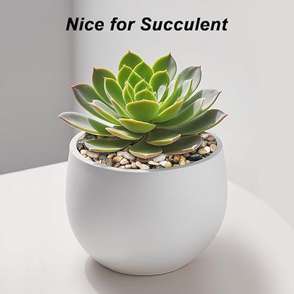 Virekm River Rocks, Decorative Ornamental Pebbles,Garden Landscaping Stones,Gravel Filler for Home Decoration Flower Bed Fish Tank Plants Vases Succulents
