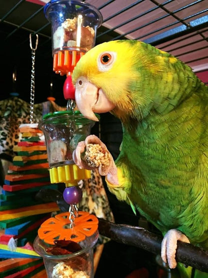 Super Bird Creations SB632 Foraging Bottom’s Up Bird Toy with Clear Acrylic Cups, Medium/Large Bird Size, 18” x 2.5”
