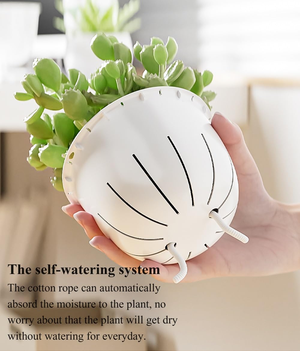 Etvski Self Watering Pots for Indoor Plants, Flower Pots, Self Watering Plant Pot-6pcs 4inch Clear