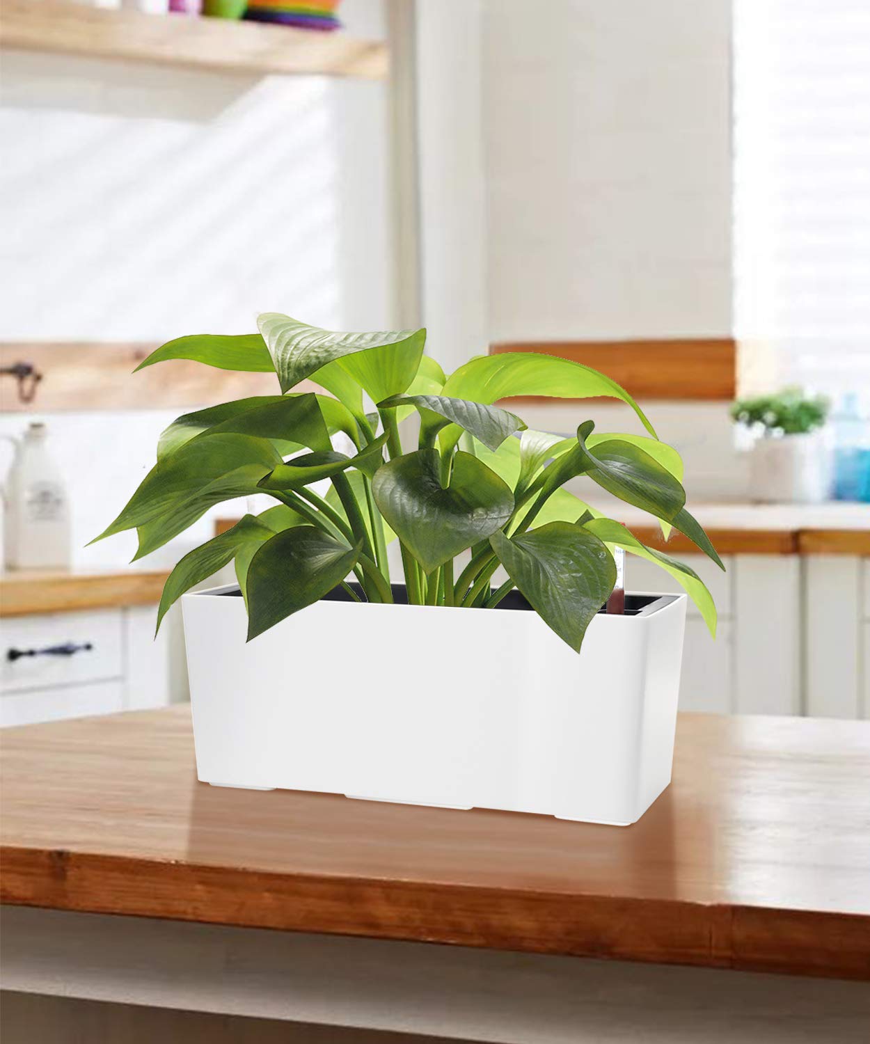 SAROSORA 14" Self Watering Planter Pots with Water Level Indicator, Rectangle Matte Plastic Window Box for Indoor Outdoor, Herbs Succulents Flowers House Plants (White)