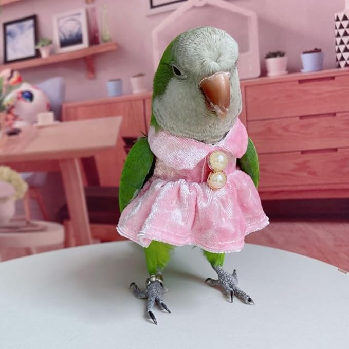 Bird Costume Bird Diaper Flight Suit Parrot Velvet Fleece Skirt Clothes Cosplay Photo Prop for Conure Lovebird Parakeet Cockatiel Macaw Small Animals Apparel (Pink,XX-Large)