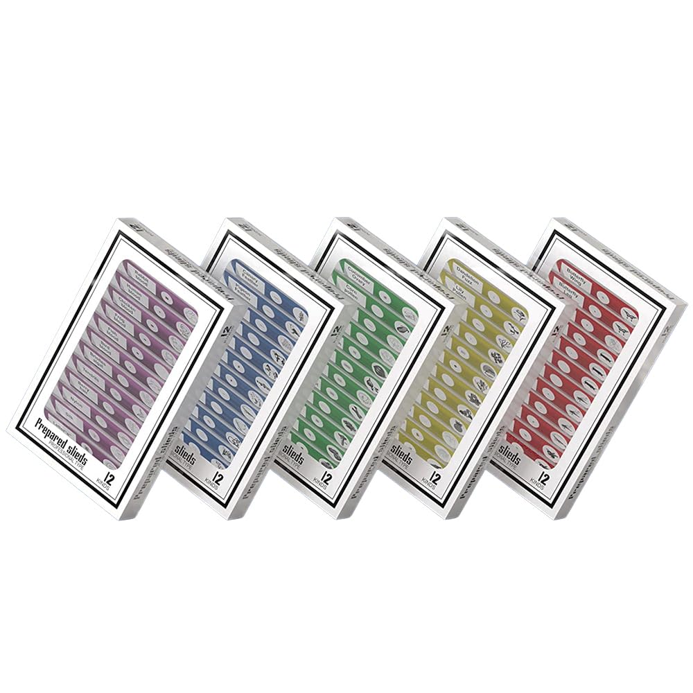 Jiusion 60Pcs Prepared Microscope Slides Specimen Animals Insects Plants Flowers Sample Biological Specimen, Stereo Microscope Slide for Kids Children Students Enlighten Education