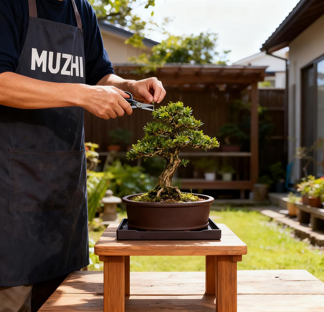 MUZHI Unglazed Natural Clay Bonsai Pot with Drip Tray, Oval Vintage Bonsai Tree Planter with Drainage for Bonsai Training Succulent Arrangement (Oval)