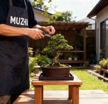 MUZHI Unglazed Natural Clay Bonsai Pot with Drip Tray, Oval Vintage Bonsai Tree Planter with Drainage for Bonsai Training Succulent Arrangement (Oval)