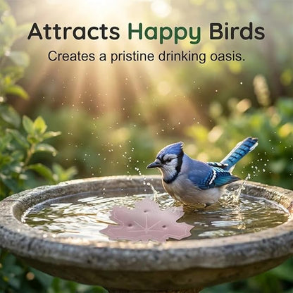 Universal Fit Bird Bath Purifier, Pure Copper Cleaning Disk with Triple Point Support Design, Fits Outdoor Birdbath & Bowl, Bird Bath Solar, Garden Fountain Provide Safe Clean Water