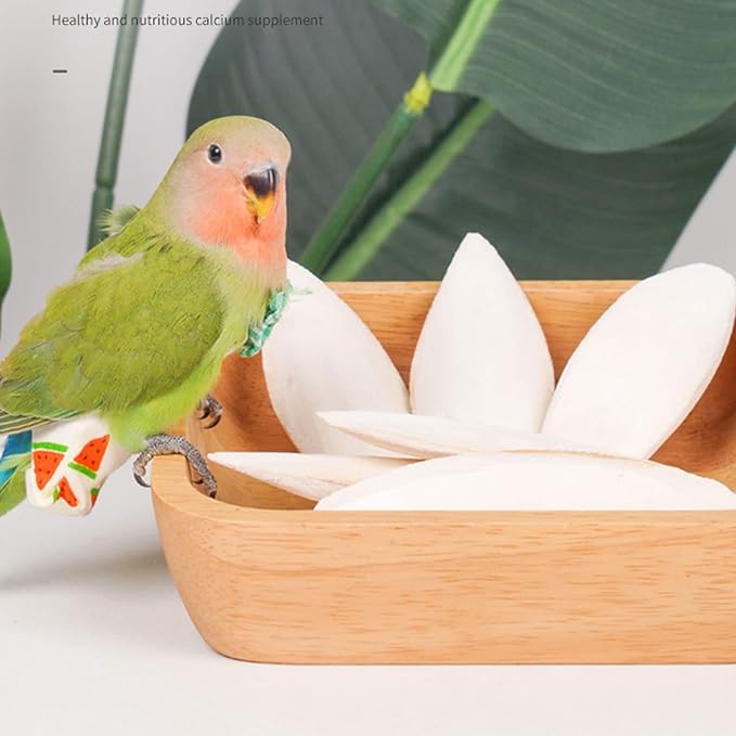 Natural Cuttlebone for Birds Parakeets Canaries Cockatiels Small Conures Mynahs Toucans African Greys All Parrots Snails Totoise, with Holder for Bird Cage (6-6.5 inch,2PCS)