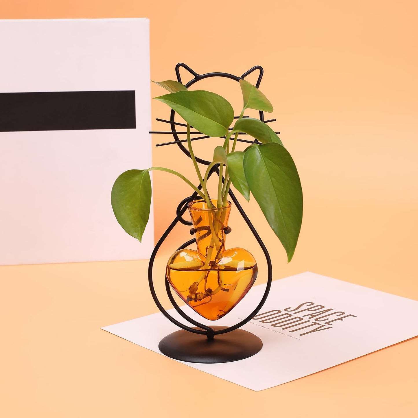 Plant Terrarium Plants Propagation Station Cat Lover Gifts for Women Home Office Decor Cat Desk Accessories