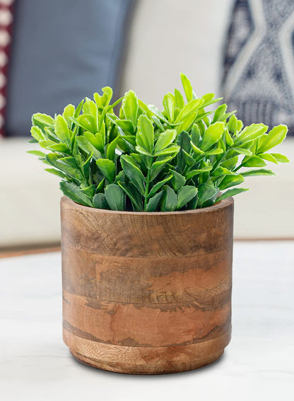 Serene Spaces Living Set of 6 Medium Mango Wood Cachepot, Natural Wooden Pot for Faux Flowers & Plants, Potted Indoor Plants, Home, Office, Restaurant Decor, Measures 6.5" Diameter & 6" Tall