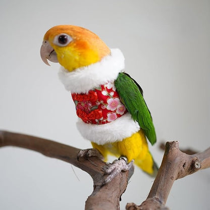 Bird Costume Flight Suit Clothes Cosplay Photo Prop for Parrots Parakeet Cockatiel Sun Conure, Hoodie Small Animals Apparel (Red, Large), Green (BPF1)