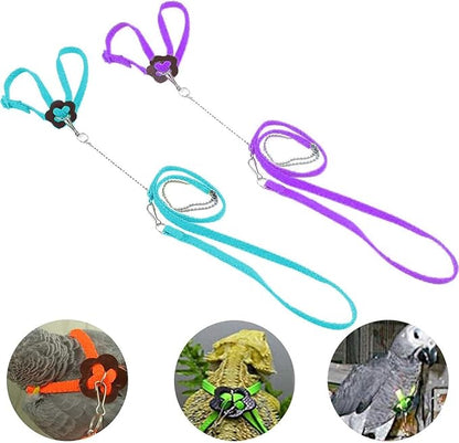 Adjustable Harness Leash for Birds 2Pack Nylon Anti-bite Outdoor Training Walking Control Rope for Parrot African Grey Cockatoo Macaw Ringneck Parakeet Cockatiel Reptile Lizard (Blue+Purple)