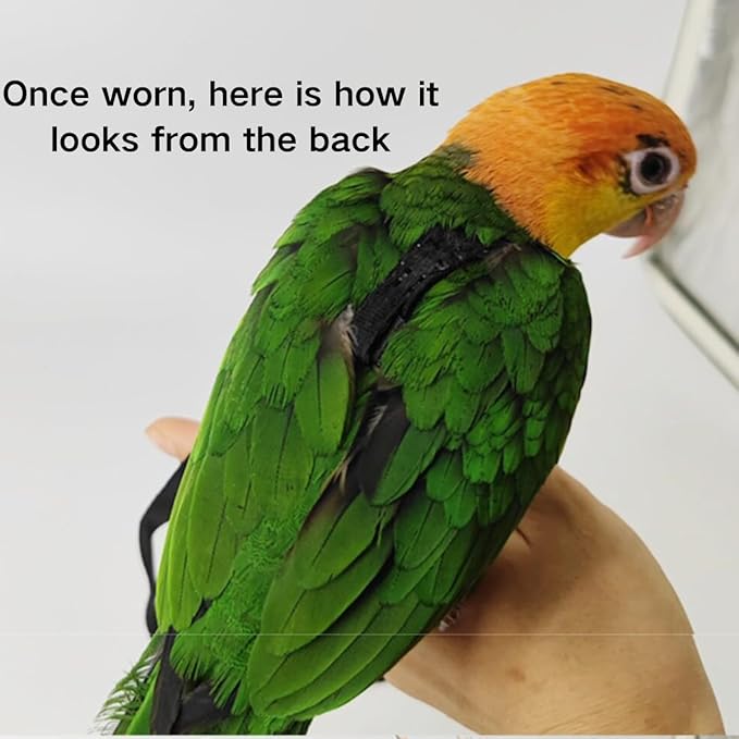 Adjustable Bird Harness and Leash for Parrots Outdoor Flight Training Anti-Bite Light Weight Easy-to-Wear Bird Vest with 59 Inch Elastic Leash for Quaker Conure African Grey Macaw Cockatoo (L)