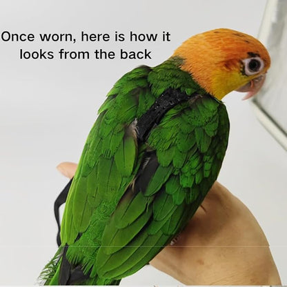 Adjustable Bird Harness and Leash for Parrots Outdoor Flight Training Anti-Bite Light Weight Easy-to-Wear Bird Vest with 59 Inch Elastic Leash for Quaker Conure African Grey Macaw Cockatoo (XS)