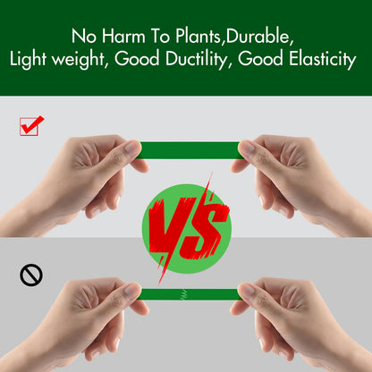 20 Rolls 1640 FT Green Plant Grafting Tape+10000Pcs Staples for Plant Tying Machine,Nursery Tree Tape Support for Climbing Plants Indoor Outdoor, Tree, Vegetables, Branches