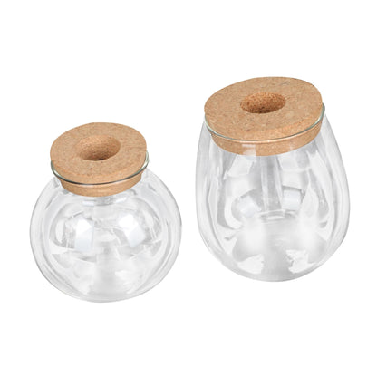 MAGICLULU 2pcs Glass Plant Terrarium Holder for Desktop Decor Moss Plant Bottle for Indoor Greenery Transparent Watering for