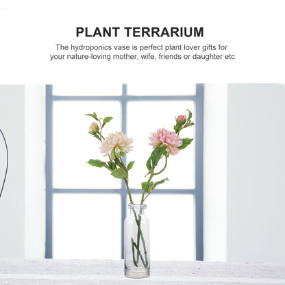 Toyvian Glass Hydroponic Vase for Desktop Plants, Small Ocean Blue Glass Planter, Home and Garden Decoration Terrarium