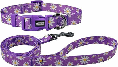 Dog Collar Leash Set, Floral Pattern, Polyester Material, Adjustable Collar and 5ft Matching Leash, for Puppy Dogs.(XS, Purple Daisy)