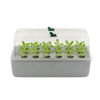 EZ Leafy Planter – Self-Watering Indoor Planter Box with Reservoir & Humidity Dome | Soil-Based Countertop Garden Kit for Leafy Greens, Lettuce, Spinach & Herbs | Kitchen Windowsill Planter