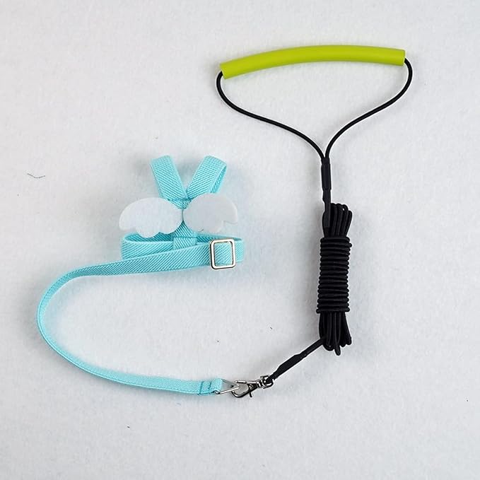 Bird Harness Leash Adjustable Outdoor Training Flying Harness Traction Rope with Cute Wing for Parrots Pigeons Budgerigar Lovebird Cockatiel Mynah (XL,Blue)