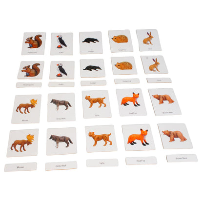 ancona European Animals, Spanish/English Bilingual, Montessori Preschool Memory Matching Game Box Set with Animal Figurines & 3-Part Cards, Early Education Toy
