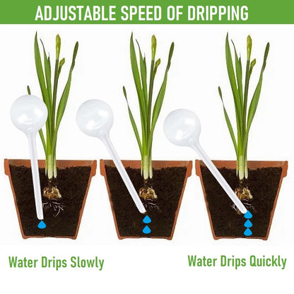 Plant Watering Globes, Self Watering Bulbs for Indoor & Outdoor Plants, Plastic Self-Watering Balls Automatic Water Irrigation Device (Clear, Large 12 Pack)