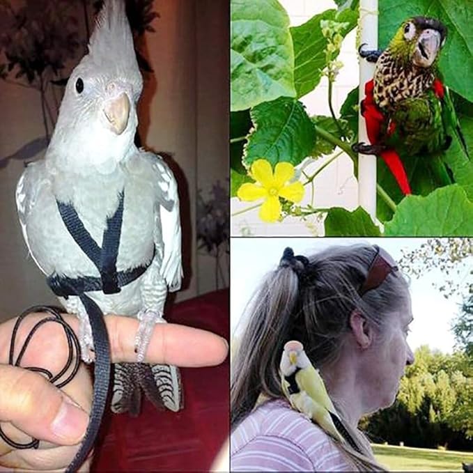 Adjustable Bird Harness and Leash,Anti-Escape Durable Nylon Parrot Harness, Flying Training Rope Parrot Leash for Small Medium Large Breed Parrots Fits Chest Under 24.4'', Black L