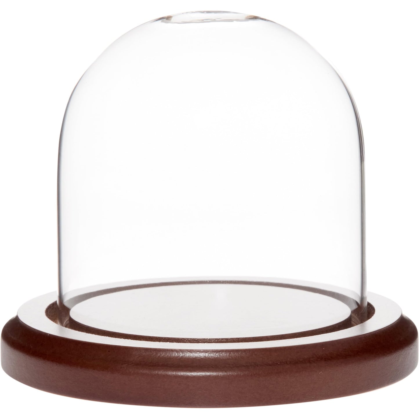 Plymor 3 inch x 3 inch Glass Display Dome Cloche (Dark Wood Base)