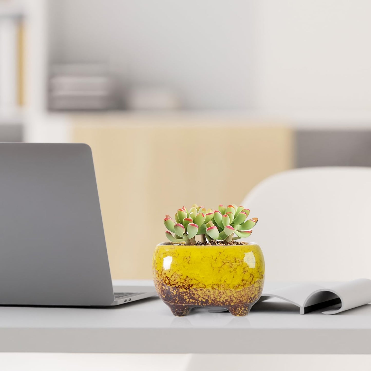 ARTKETTY Succulent Pots - Small Succulent Plant Pot with Drainage Pack of 6, Ceramic Cactus Planter Pots for Indoor Unique Flower Planter Container for Home Office Decor