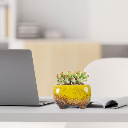 ARTKETTY Succulent Pots - Small Succulent Plant Pot with Drainage Pack of 6, Ceramic Cactus Planter Pots for Indoor Unique Flower Planter Container for Home Office Decor