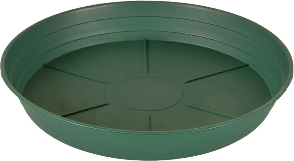 Hydrofarm HGS6P Green Premium, 6", Pack of 25 Saucer, 6"