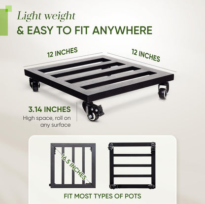 Idzo Upgraded Lockable Heavy Duty Trolley Capacity 385lbs, 12 Inch, Black, Large Plant Pots, Parasol Stands and Bases or Plant Stand with Wheels