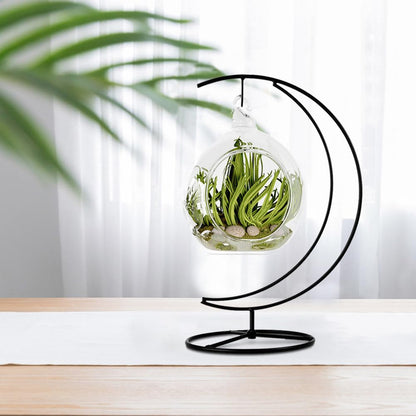 CXLE Ornament Display Stand - Iron Pothook Stand for Hanging Glass Globe, Air Plant Terrarium, Witch Ball, Christmas Ornament and Home Wedding Decoration
