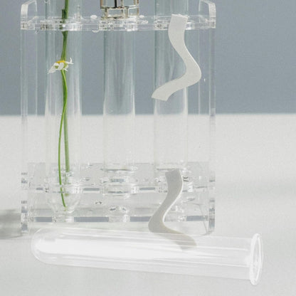 FUNOMOCYA 4pcs Clear Test Tubes for Cutting Plant Glass Propagation Tubes for Hydroponic Plants, Flowers, Home Office Wall Decor