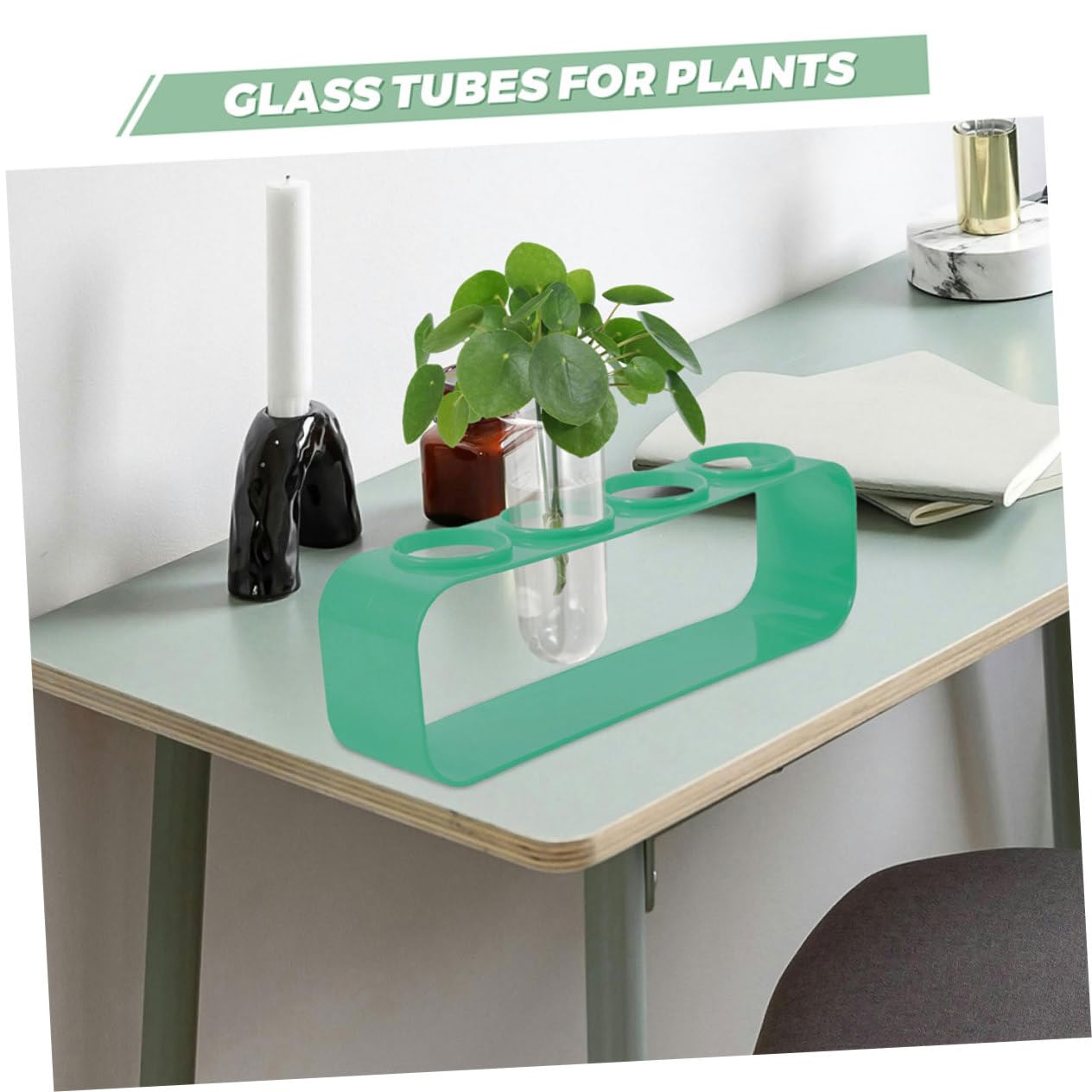 BESPORTBLE 5pcs Glass Test Tube Vases Set Hydroponic Plant Vase for Balcony Flower Preservation Plant Terrarium Indoor Planter