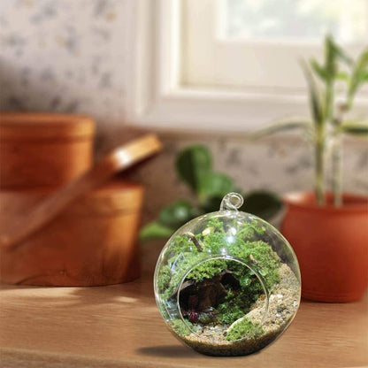 Hanging Glass Terrarium Globe Tea Light Candle Holder Succulents Vase Hanger for Home Wedding Party Indoor Outdoor Decor Glass Terrariums for Plants Wall