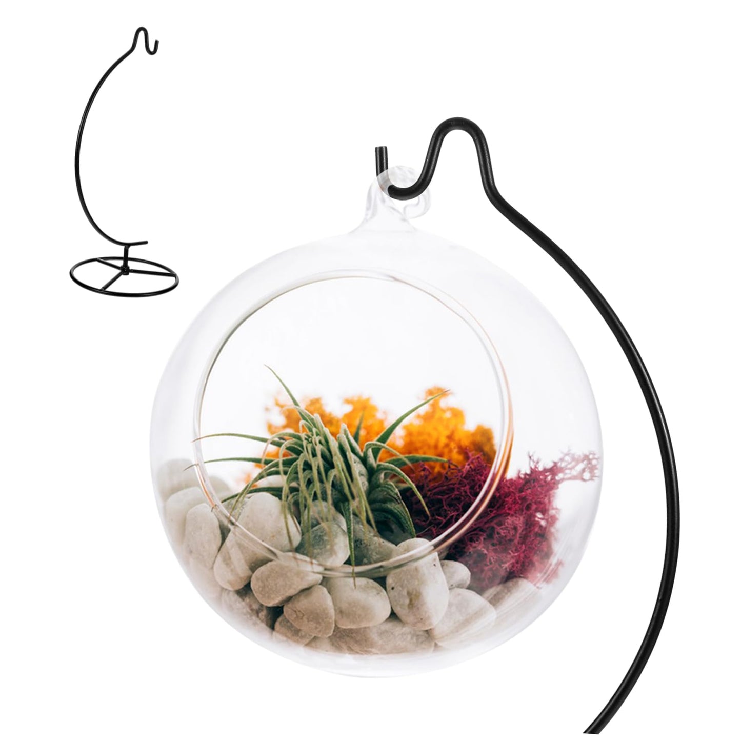 GOOHOCHY Moon Hanger Stand Ornament Display Holder Air Plant Stand Glass Globe Rack