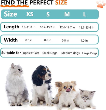 Dog Collar and Leash Set for Dogs Walking Bohemia Ethnic Style | Soft Durable Nylon Adjustable Collar with Metal Buckle 5ft Matching Leash with Padded Handle for Small Medium Large Dogs