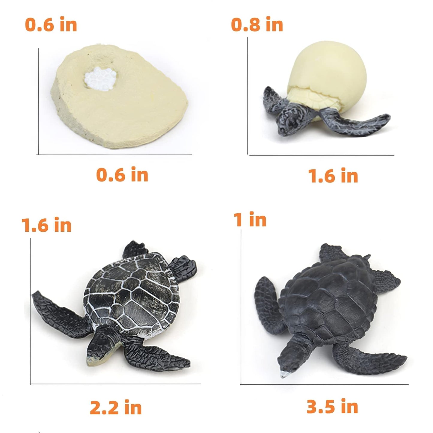 MIKNEKE Montessori Life Cycle Animal Figures with Flash Cards, Realistic Animal Figurines Toy, Educational Matching Game for 3+ Year Old Toddlers Kids (Turtle)