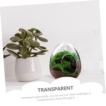BESPORTBLE Glass Bottle Plant Moss Terrarium DIY Micro-Landscape Desktop Succulent Vase Home Decor