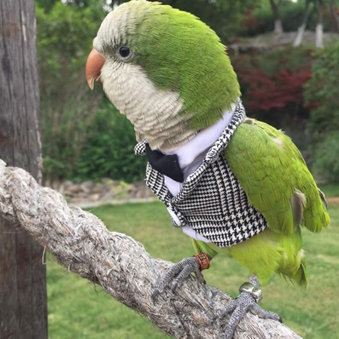 Bird Clothes Birds Flight Suit,Tuxedo Business Suit for Parrots African Greys Parakeet Cockatiel Sun Conure Christmas Party Birthday Cosplay Photo Prop Small Animals Apparel (2M,Grid Suit)