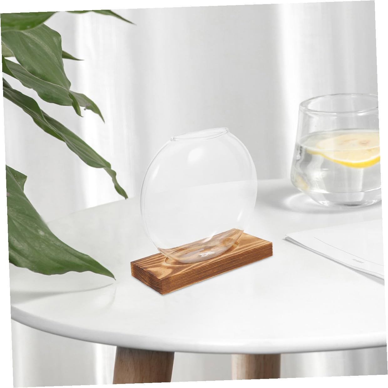 UPKOCH 2pcs Hydroponic Glass Vase with Wooden Stand, Desktop Planter for Indoor Water Plants and Plant Propagation, Contemporary Glass Flower Pot for Home and Office Decor