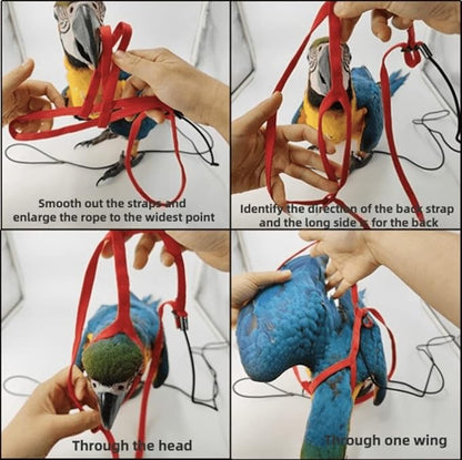 Adjustable Bird Harness with 78.7 Inch Leash, Outdoor Flying Training Rope Kit for Bird Parrots, Parrot Flying Rope Straps Outdoor Training Traction Rope for Small Medium Large Size Birds (M)