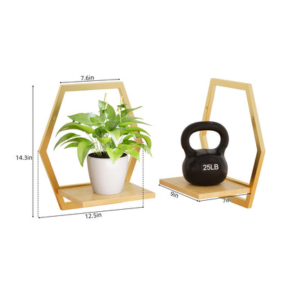 Rioneta 3 Pack Natural Wood & 25 LB Load Metal Wall Plant Holders, 9 inch Solid Wooden Shelf, Mid Century Hanging Planter for Indoor Plants Golden
