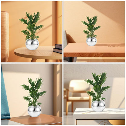 BESPORTBLE 2pcs Silver Round Glass Vase Set – Modern Sphere Flower Holder for Hydroponic Plants, Small Air Terrarium Centerpiece for Home and Office Tables