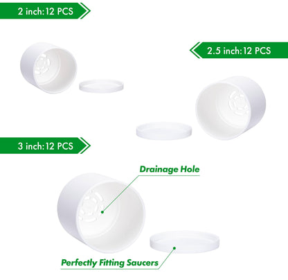 D'vine Dev Pack of 36 Plastic Plant Pots (12 Set of 2 Inch, 2.5 Inch, 3 Inch) Small Garden Planter Pots for Plant with Drainage Holes and Saucers, White, 74-T-A