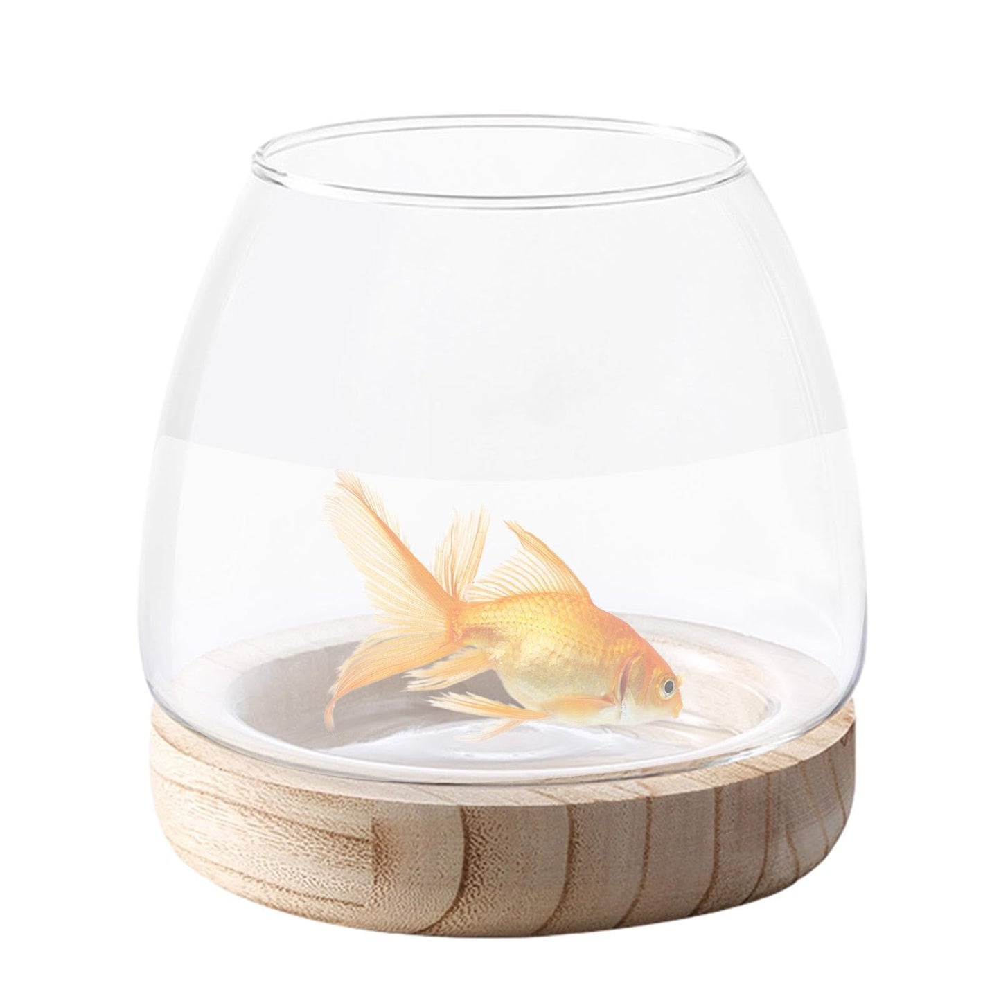 Hydroponic Plant Vase - durablee Transparent Glass Fish Bowl with Wooden Stand, Wide Mouth Terrarium Vase | Comfortable Hydroponic Plant Terrarium, Clear Hydroponic Planter for Home Decoration