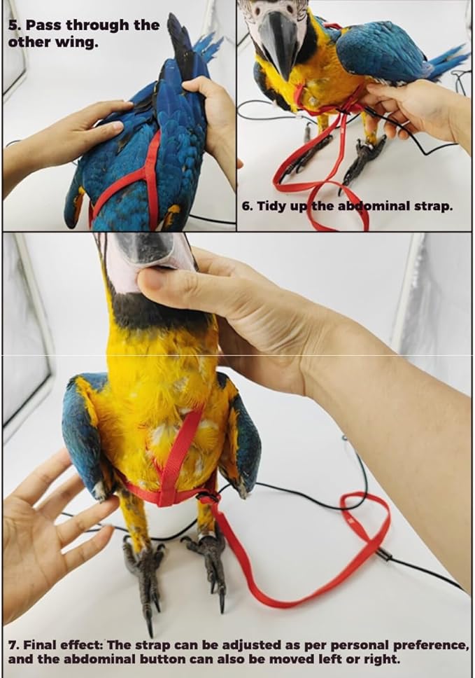 Adjustable Bird Harness and Leash for Parrots Outdoor Flight Training Anti-Bite Light Weight Easy-to-Wear Bird Vest with 59 Inch Elastic Leash for Quaker Conure African Grey Macaw Cockatoo (XL)