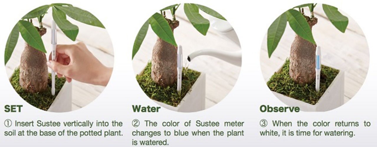 Sustee Aquameter Set of 2, Plant Moisture Sensor, (White, Large, Refillable)
