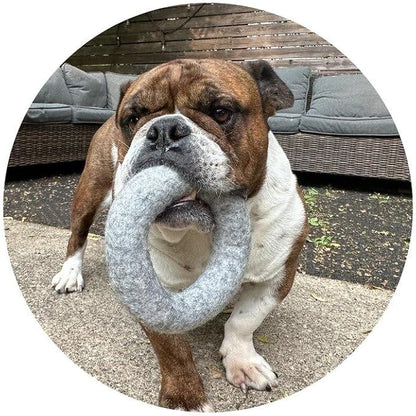 Large Wool Dog Ring Toy – Durable Organic Dog Ring for Medium & Large Dogs – Eco Friendly Natural Dog Toy – Creature ECO - 1 Pack